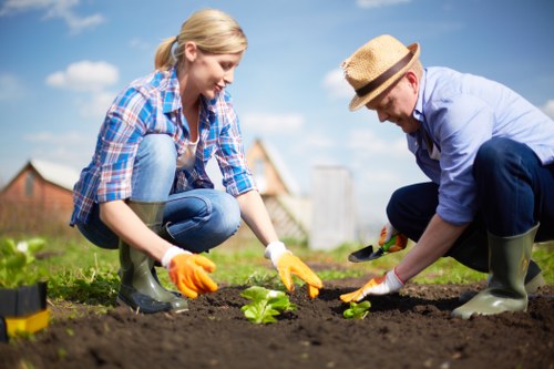 Healthy soil preparation for Mitcham garden